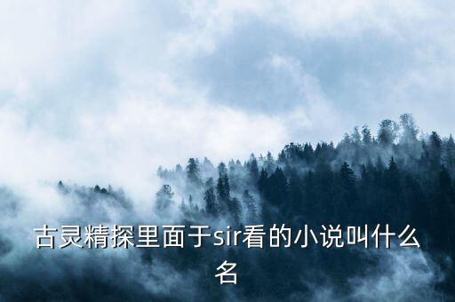 古靈精探里面于sir看的小說(shuō)叫什么名