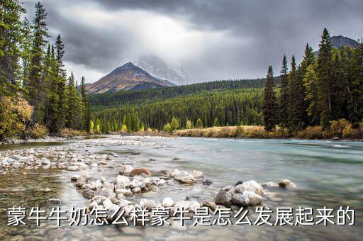 蒙牛為什么會走向全國，好想知道蒙牛最近怎么了怎么今年市場份額占比這么大