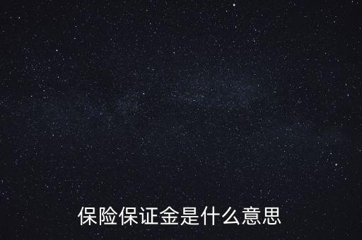 保險保證金是什么意思