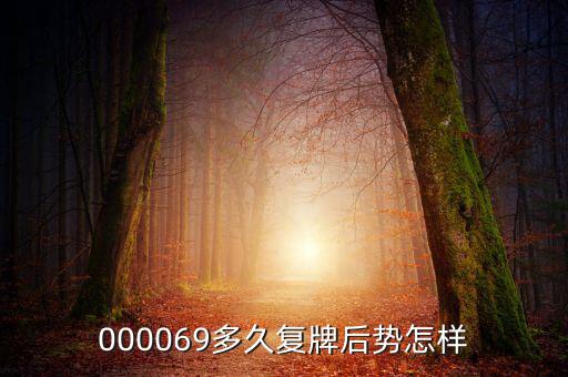 大洲興業(yè)什么時候復(fù)牌，000560各位大神知道啥時候復(fù)牌