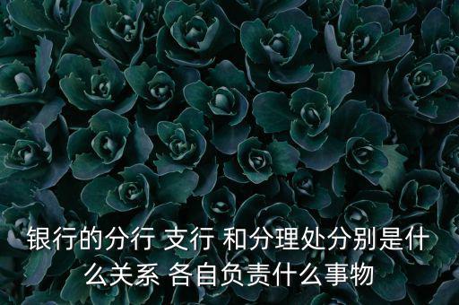 銀行的分行 支行 和分理處分別是什么關(guān)系 各自負責(zé)什么事物