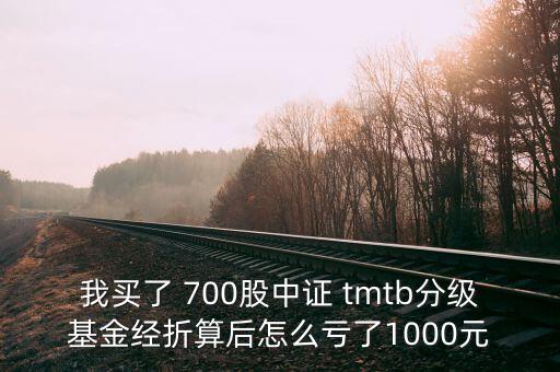 tmtb基金是什么股票，我買(mǎi)了 700股中證 tmtb分級(jí)基金經(jīng)折算后怎么虧了1000元