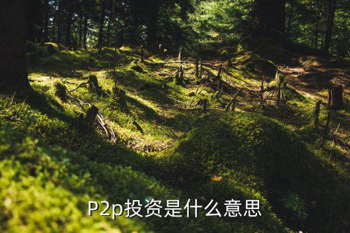 P2p投資是什么意思