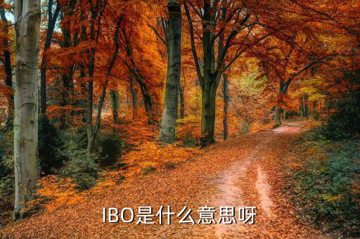 美股ibo是什么公司，IBO是什么意思呀