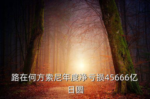 路在何方索尼年度凈虧損45666億日?qǐng)A