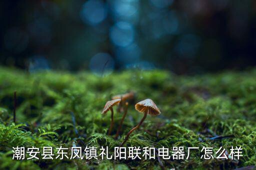 聯(lián)禮陽是個什么來路，樂雪薇 韓承毅 渠禮陽是什么小說