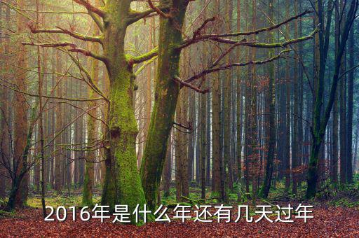 2016年是什么年還有幾天過年