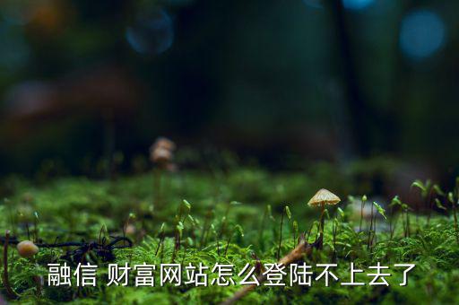 融信財(cái)富怎么樣,陽光城菲力富城:售樓處提供網(wǎng)絡(luò)安全咨詢