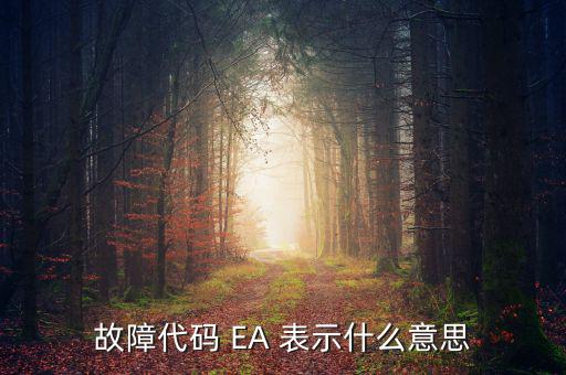 華泰ea什么意思，故障代碼 EA 表示什么意思