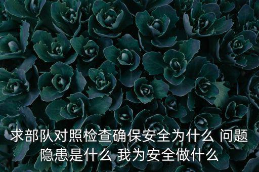 求部隊(duì)對照檢查確保安全為什么 問題隱患是什么 我為安全做什么