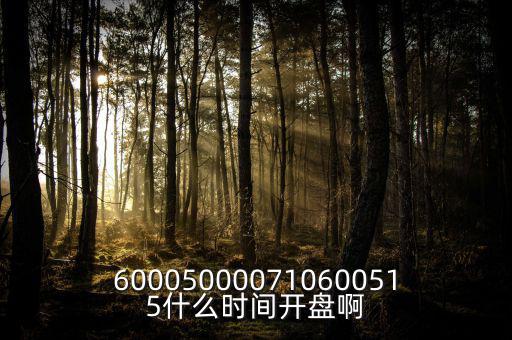 600050000710600515什么時(shí)間開(kāi)盤(pán)啊