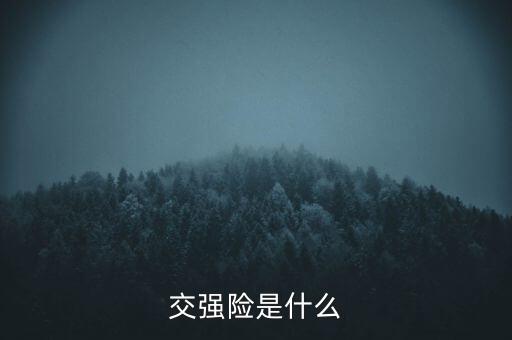 交強(qiáng)險是什么