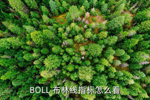 BOLL 布林線指標(biāo)怎么看