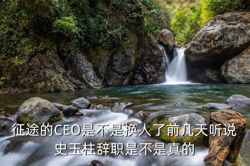 征途的CEO是不是換人了前幾天聽(tīng)說(shuō)史玉柱辭職是不是真的