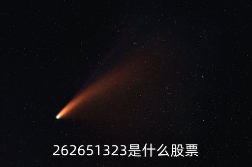 208393股票是什么，262651323是什么股票