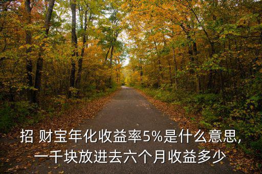 招 財寶年化收益率5%是什么意思,一千塊放進去六個月收益多少