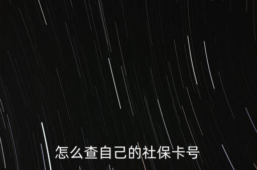 怎么查自己的社?？ㄌ?hào)