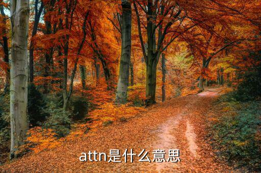 丙方是什么意思，attn是什么意思