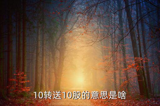 10轉(zhuǎn)送10股的意思是啥