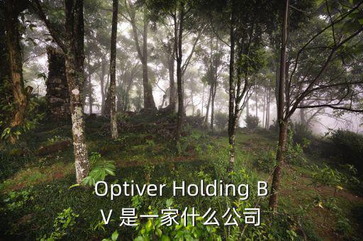 什么是nyme原油，Optiver Holding BV 是一家什么公司