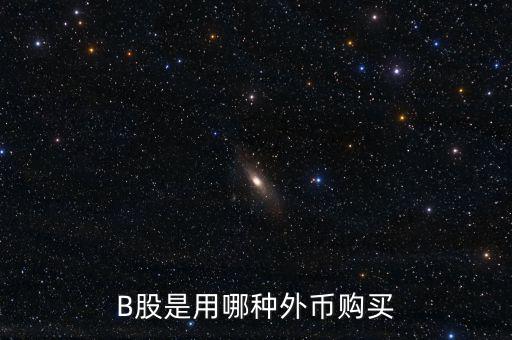 b股分紅支付什么貨幣，B股是用哪種外幣購買