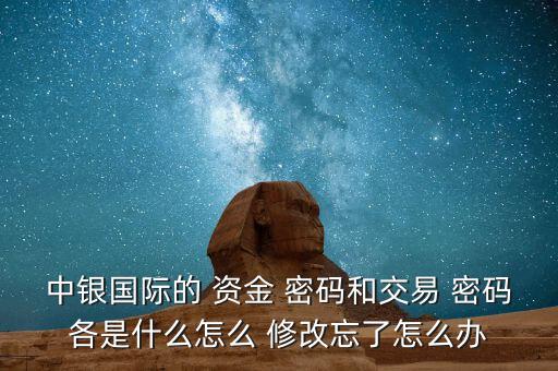 中銀國(guó)際的 資金 密碼和交易 密碼各是什么怎么 修改忘了怎么辦