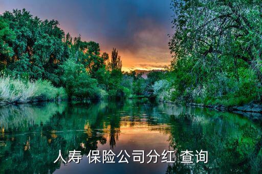 保險(xiǎn)公司紅利怎么查詢(xún),保險(xiǎn)公司分紅險(xiǎn)查詢(xún)方法