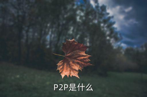 什么是p2p項(xiàng)目，什么是P2P