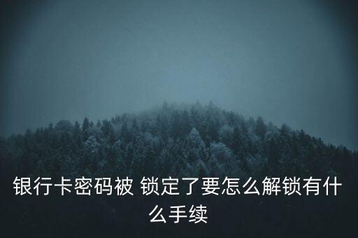 你我金融鎖定怎么解,登入借記卡詳情頁面點擊密碼解鎖