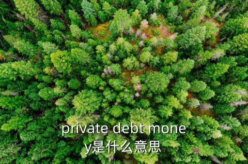 私人配售什么意思，private debt placement是什么意思啊