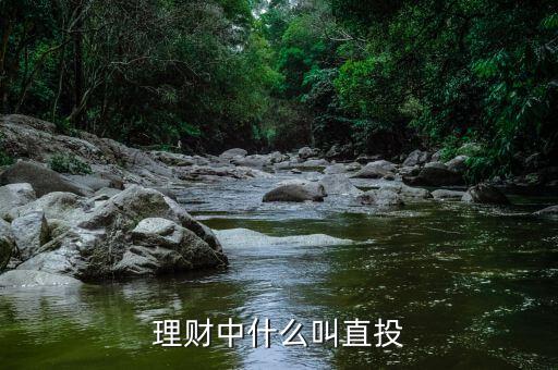 理財直付是什么意思，余額寶是理財直付還是電子直付產(chǎn)品