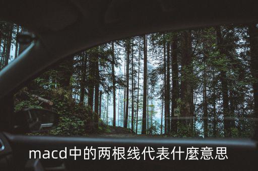 macd中的兩根線代表什麼意思