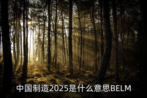 中國(guó)制造2025是什么意思BELM