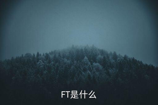 什么是FT調(diào)查，F(xiàn)T是什么