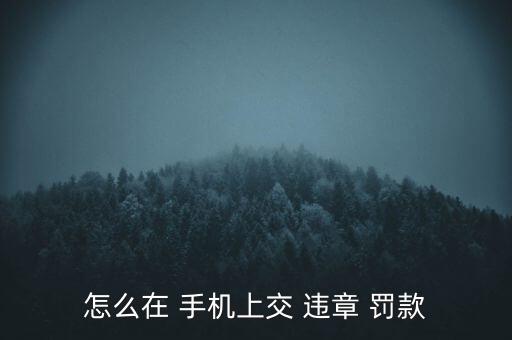 怎么在 手機(jī)上交 違章 罰款