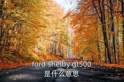 東盟油500是什么，ford shelby gt500是什么意思