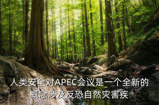 2014apec峰會簽署了什么文件，亞洲和太平洋地區(qū)經(jīng)濟(jì)合作會議簡稱 APEC