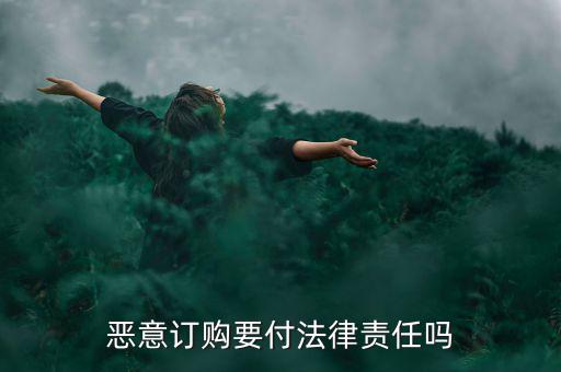 惡意訂購(gòu)要付法律責(zé)任嗎