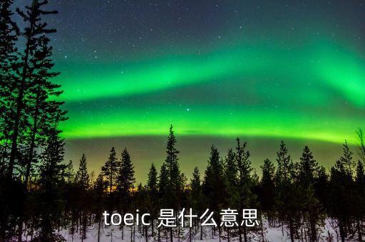 銀盛通信是什么，toeic 是什么意思