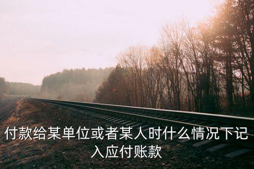 付款給某單位或者某人時(shí)什么情況下記入應(yīng)付賬款