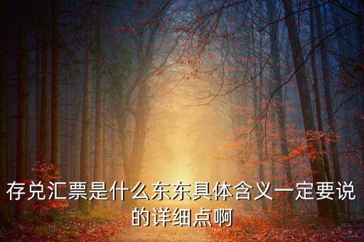 存兌匯票是什么東東具體含義一定要說的詳細(xì)點(diǎn)啊