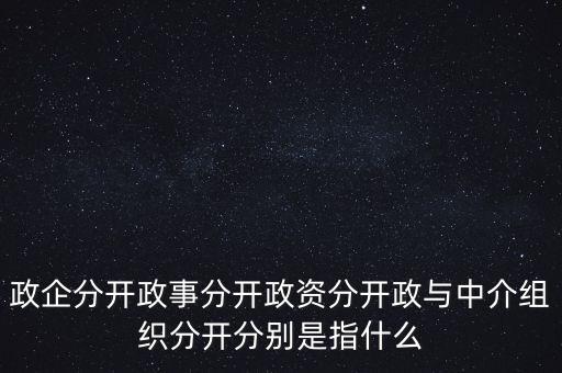 政企分開政事分開政資分開政與中介組織分開分別是指什么