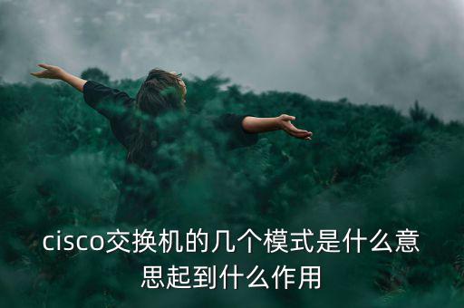 tmt究竟是什么模式，請問TMT是什么意思