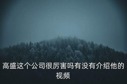 高盛這個(gè)公司很厲害嗎有沒有介紹他的視頻