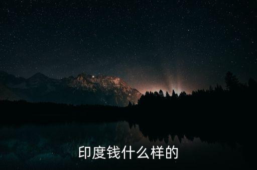 印度盧比什么樣，請(qǐng)問(wèn)我這盧比怎么樣