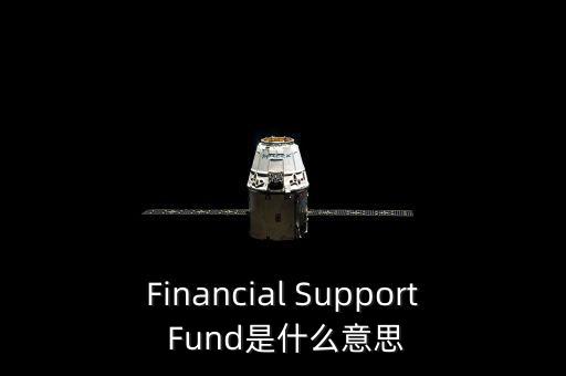 Financial Support Fund是什么意思