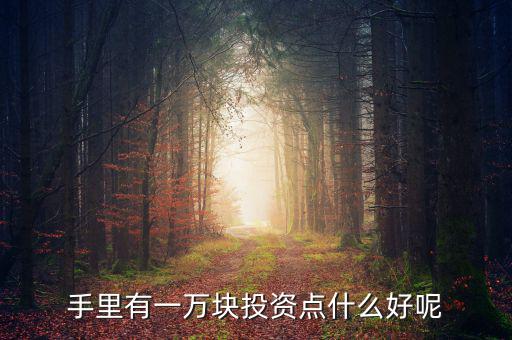 一萬元做什么投資，1萬元創(chuàng)業(yè)投資干什么好