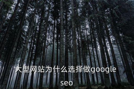 大型網(wǎng)站為什么選擇做google seo