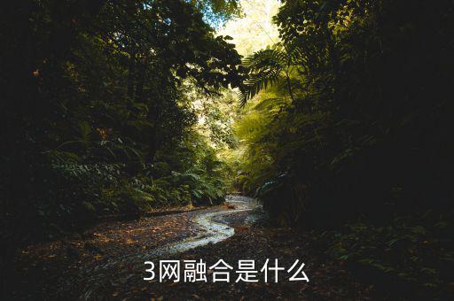 3網(wǎng)融合是什么