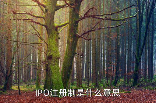 ipo注冊(cè)制是什么意思，IPO注冊(cè)制是什么意思和審批制有什么區(qū)別